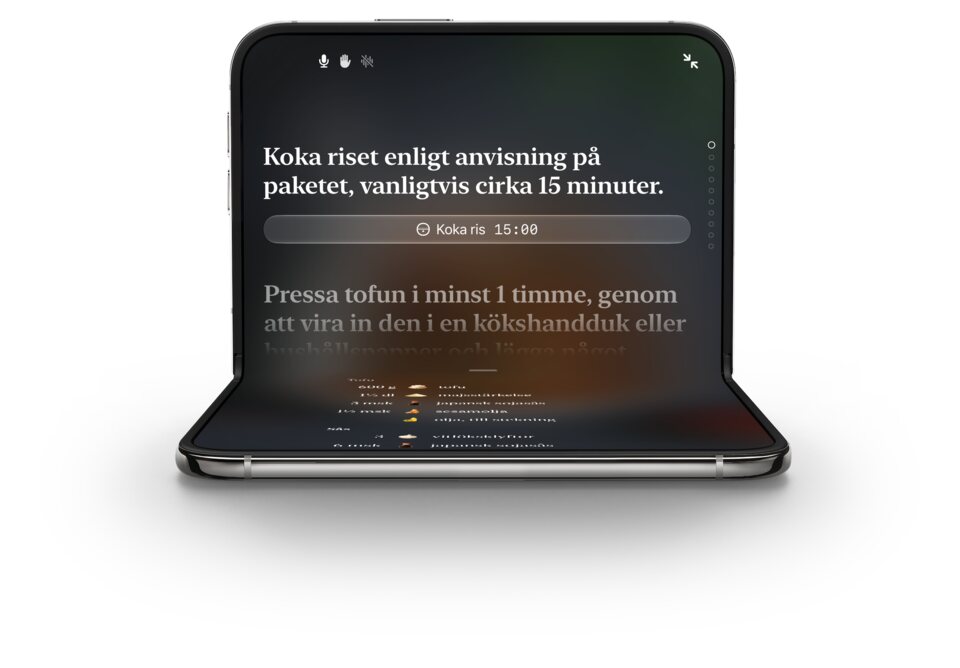 Plantrys kokläge på en hopvikt iPhone Duo