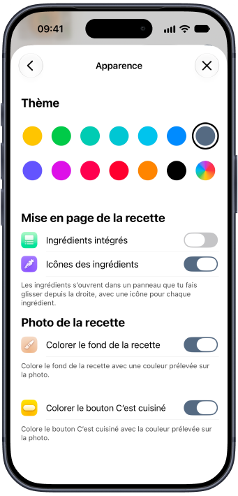 Les réglages d’apparence de Plantry, avec les couleurs de thème et la mise en page des recettes