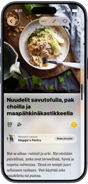 Kasvipohjainen nuudeliresepti avattuna Plantryssa