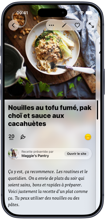 Une recette de nouilles végétale ouverte dans Plantry