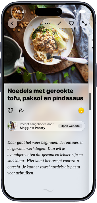 Een plantaardig noedelrecept geopend in Plantry